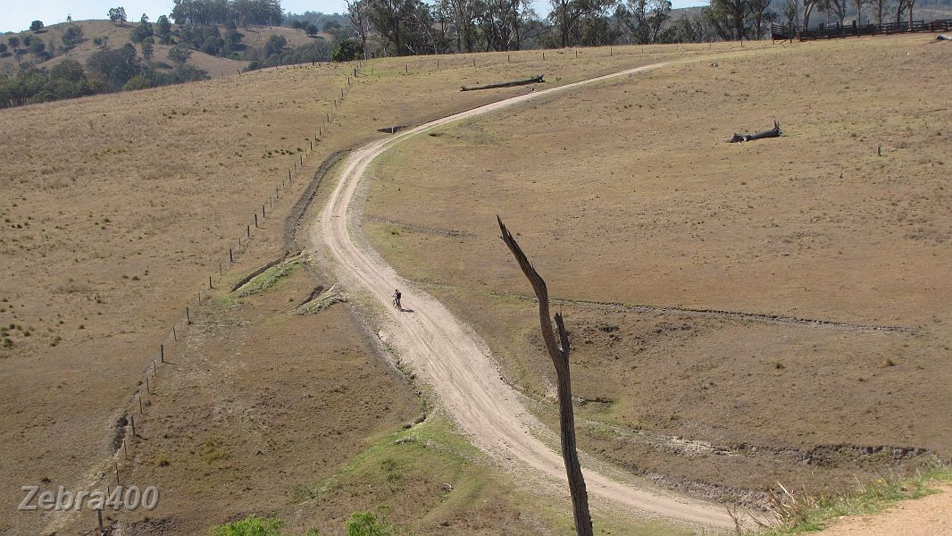 04-Heidi enjoys the area along the Qld-NSW border.JPG